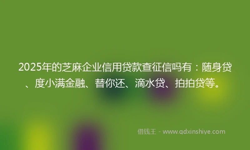 2025年的芝麻企业信用贷款查征信吗有：随身贷、度小满金融、替你还、滴水贷、拍拍贷等。