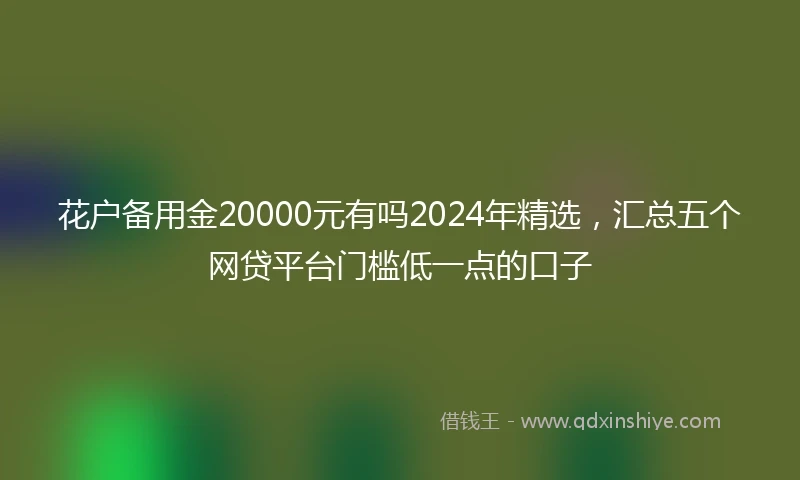 花户备用金20000元有吗2024年精选，汇总五个网贷平台门槛低一点的口子