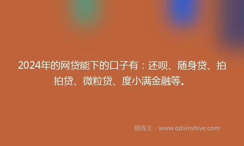 2024年的网贷能下的口子有：还呗、随身贷、拍拍贷、微粒贷、度小满金融等。