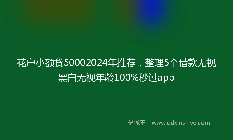 花户小额贷50002024年推荐，整理5个借款无视黑白无视年龄100%秒过app