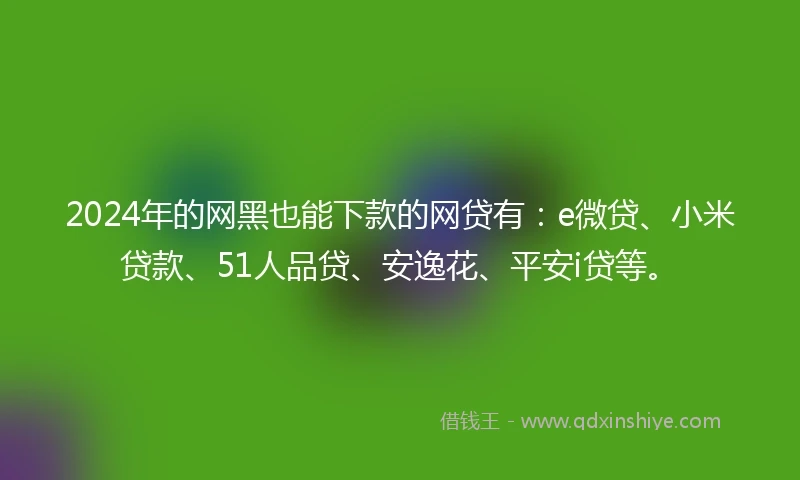 2024年的网黑也能下款的网贷有：e微贷、小米贷款、51人品贷、安逸花、平安i贷等。