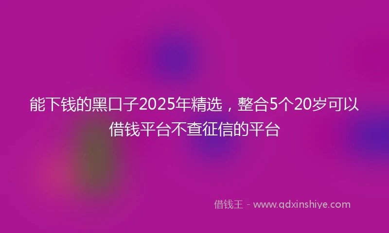 能下钱的黑口子2025年精选，整合5个20岁可以借钱平台不查征信的平台