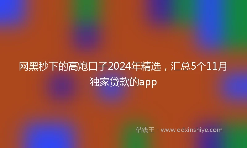 网黑秒下的高炮口子2024年精选，汇总5个11月独家贷款的app