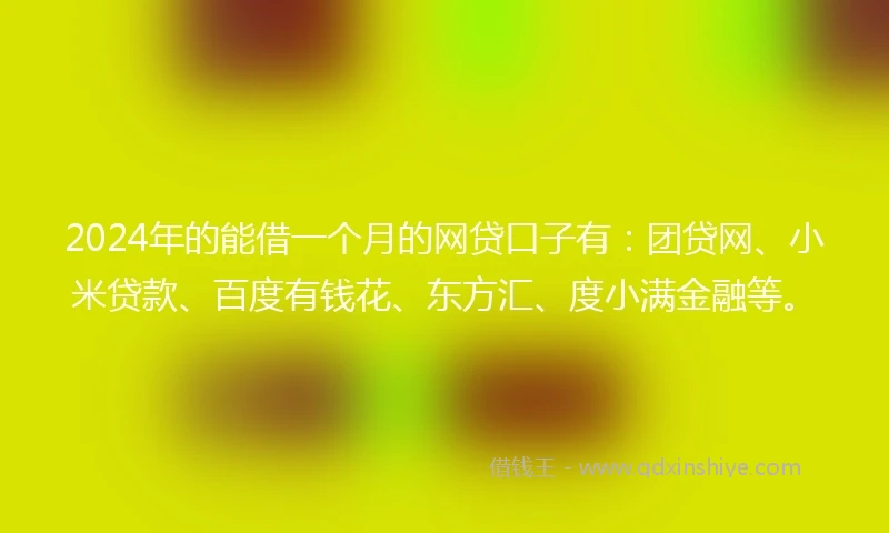 2024年的能借一个月的网贷口子有：团贷网、小米贷款、百度有钱花、东方汇、度小满金融等。