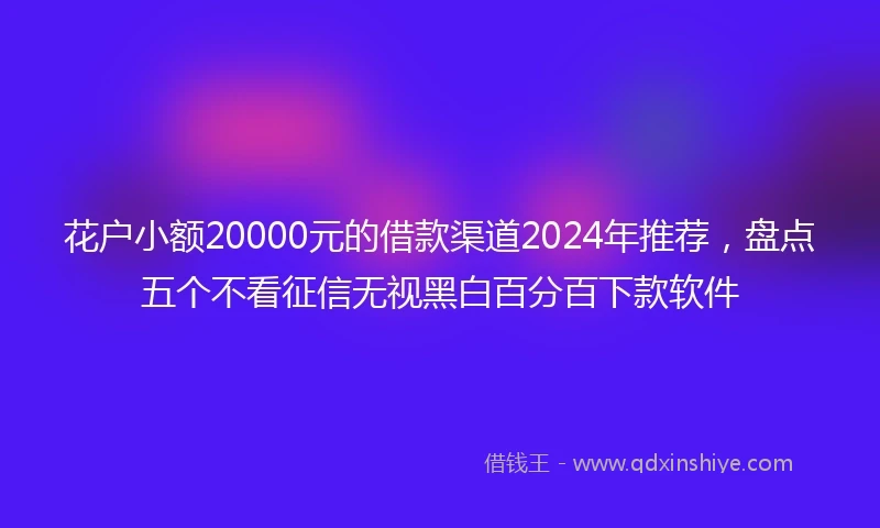 花户小额20000元的借款渠道2024年推荐，盘点五个不看征信无视黑白百分百下款软件
