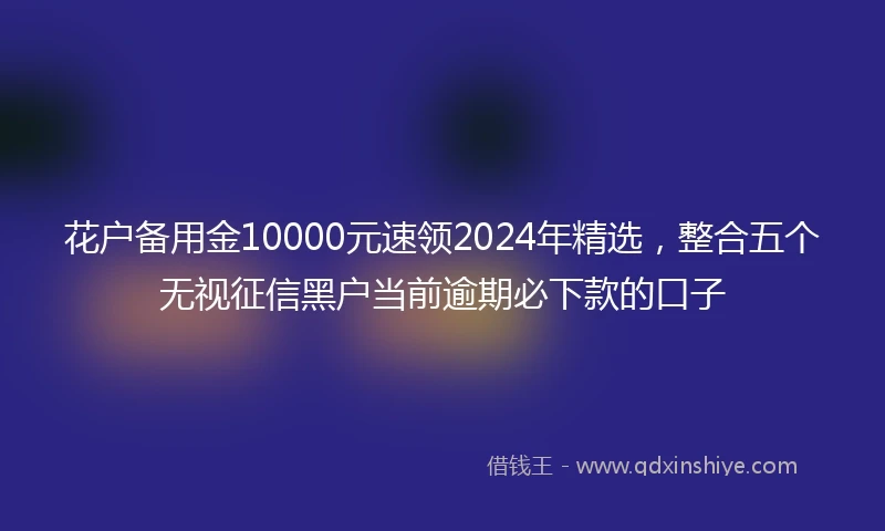 花户备用金10000元速领2024年精选，整合五个无视征信黑户当前逾期必下款的口子