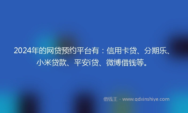 2024年的网贷预约平台有：信用卡贷、分期乐、小米贷款、平安i贷、微博借钱等。