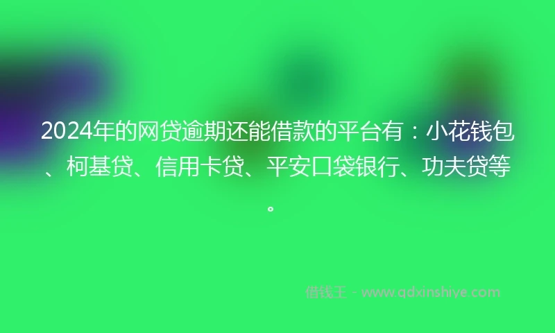 2024年的网贷逾期还能借款的平台有：小花钱包、柯基贷、信用卡贷、平安口袋银行、功夫贷等。