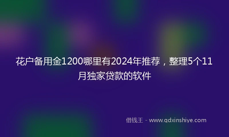 花户备用金1200哪里有2024年推荐，整理5个11月独家贷款的软件