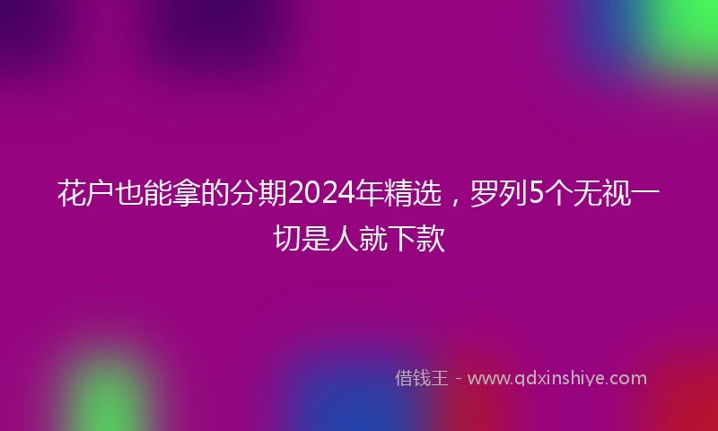 花户也能拿的分期2024年精选，罗列5个无视一切是人就下款