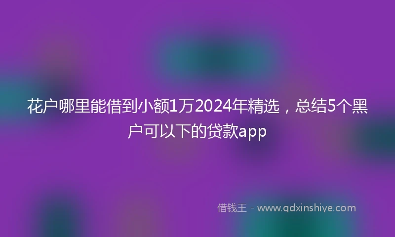 花户哪里能借到小额1万2024年精选，总结5个黑户可以下的贷款app