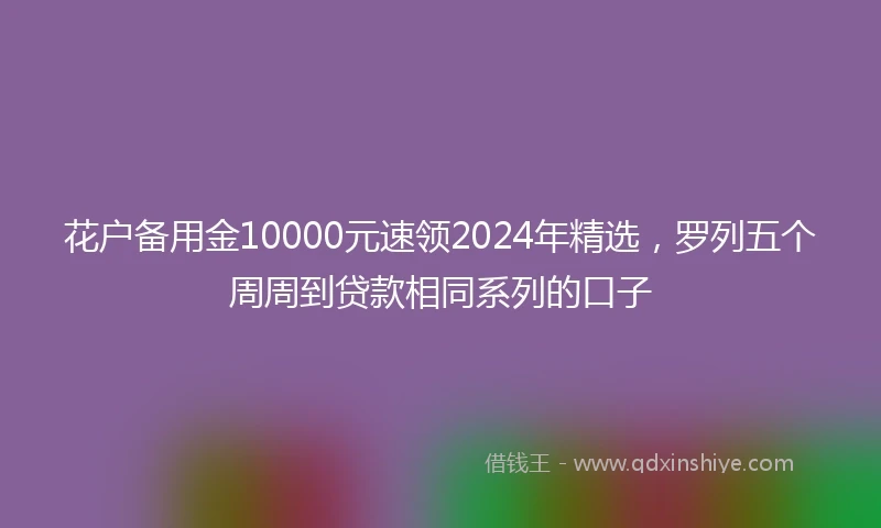 花户备用金10000元速领2024年精选，罗列五个周周到贷款相同系列的口子