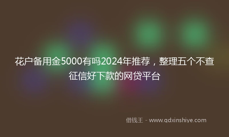 花户备用金5000有吗2024年推荐，整理五个不查征信好下款的网贷平台
