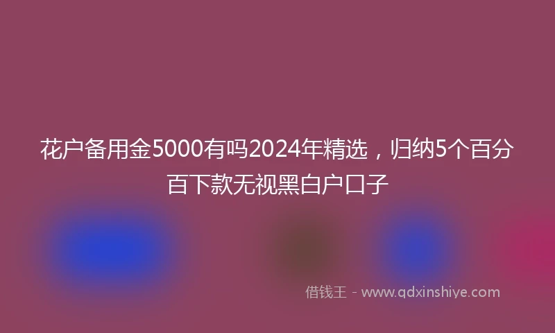 花户备用金5000有吗2024年精选，归纳5个百分百下款无视黑白户口子