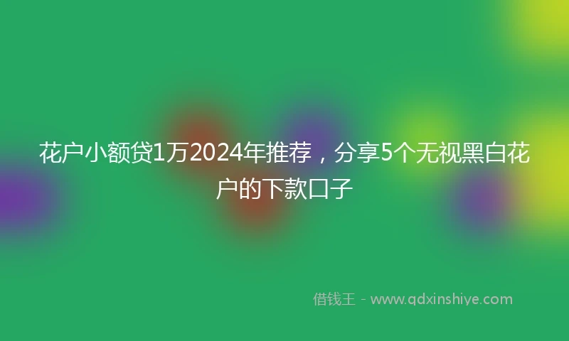 花户小额贷1万2024年推荐，分享5个无视黑白花户的下款口子