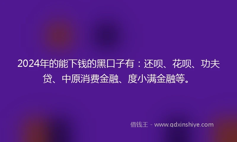 2024年的能下钱的黑口子有：还呗、花呗、功夫贷、中原消费金融、度小满金融等。