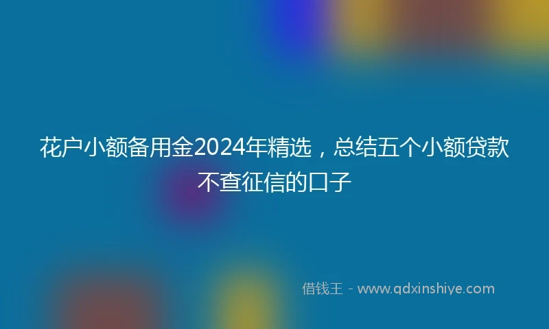 花户小额备用金2024年精选，总结五个小额贷款不查征信的口子