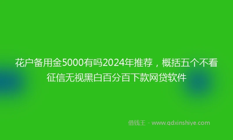 花户备用金5000有吗2024年推荐，概括五个不看征信无视黑白百分百下款网贷软件
