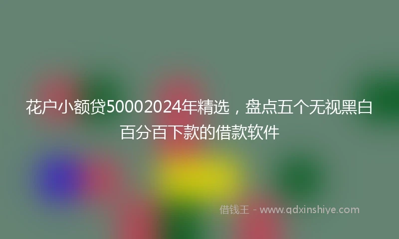 花户小额贷50002024年精选，盘点五个无视黑白百分百下款的借款软件