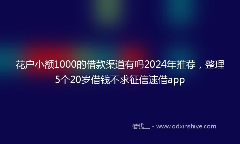 花户小额1000的借款渠道有吗2024年推荐，整理5个20岁借钱不求征信速借app