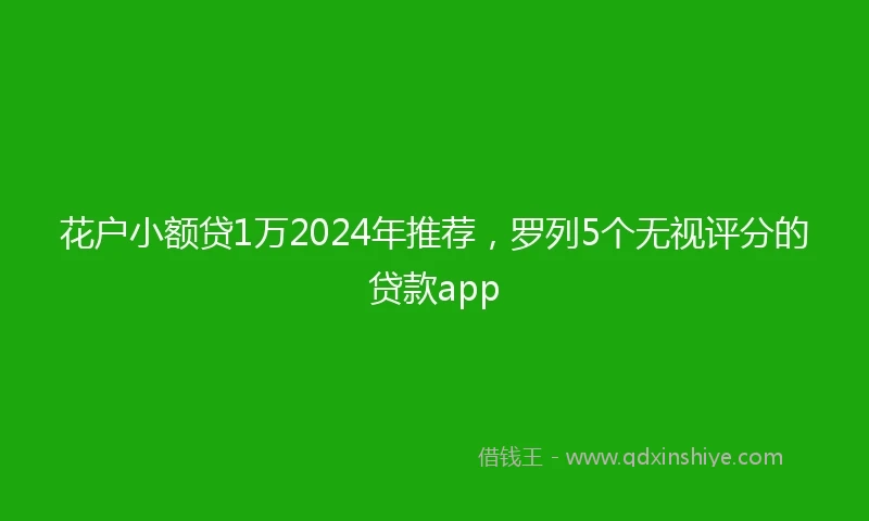 花户小额贷1万2024年推荐，罗列5个无视评分的贷款app