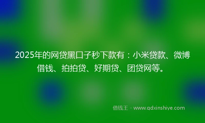 2025年的网贷黑口子秒下款有：小米贷款、微博借钱、拍拍贷、好期贷、团贷网等。