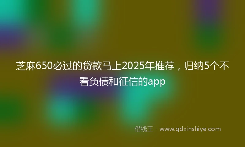 芝麻650必过的贷款马上2025年推荐，归纳5个不看负债和征信的app