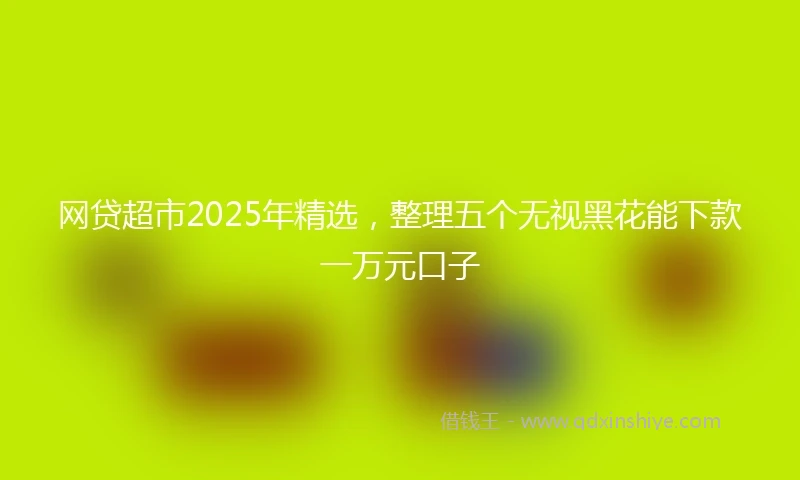 网贷超市2025年精选，整理五个无视黑花能下款一万元口子