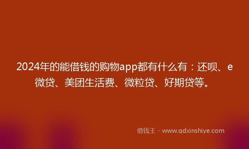 2024年的能借钱的购物app都有什么有：还呗、e微贷、美团生活费、微粒贷、好期贷等。