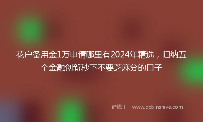 花户备用金1万申请哪里有2024年精选，归纳五个金融创新秒下不要芝麻分的口子