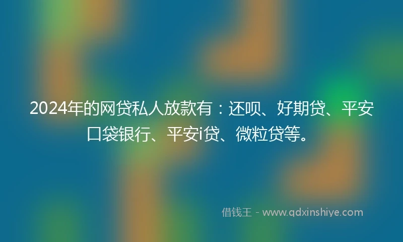 2024年的网贷私人放款有：还呗、好期贷、平安口袋银行、平安i贷、微粒贷等。