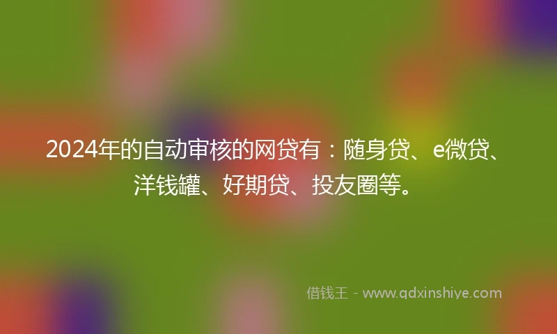 2024年的自动审核的网贷有：随身贷、e微贷、洋钱罐、好期贷、投友圈等。