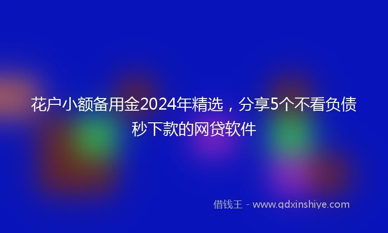 花户小额备用金2024年精选，分享5个不看负债秒下款的网贷软件