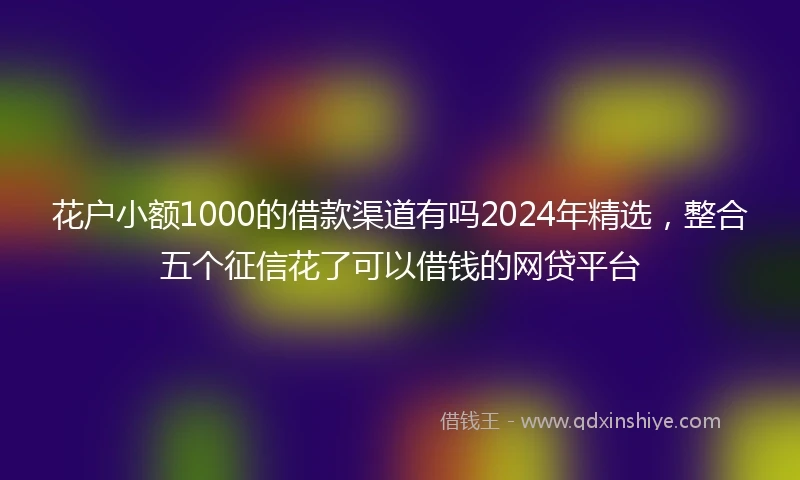 花户小额1000的借款渠道有吗2024年精选，整合五个征信花了可以借钱的网贷平台