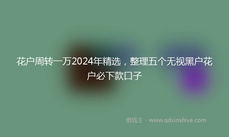花户周转一万2024年精选，整理五个无视黑户花户必下款口子