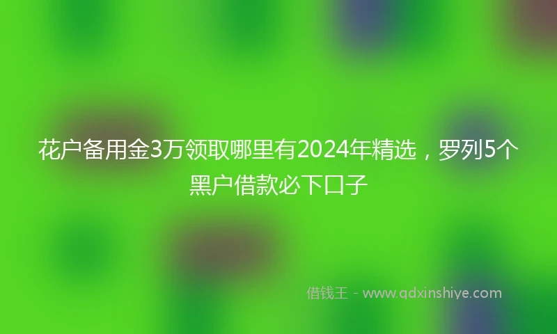 花户备用金3万领取哪里有2024年精选，罗列5个黑户借款必下口子