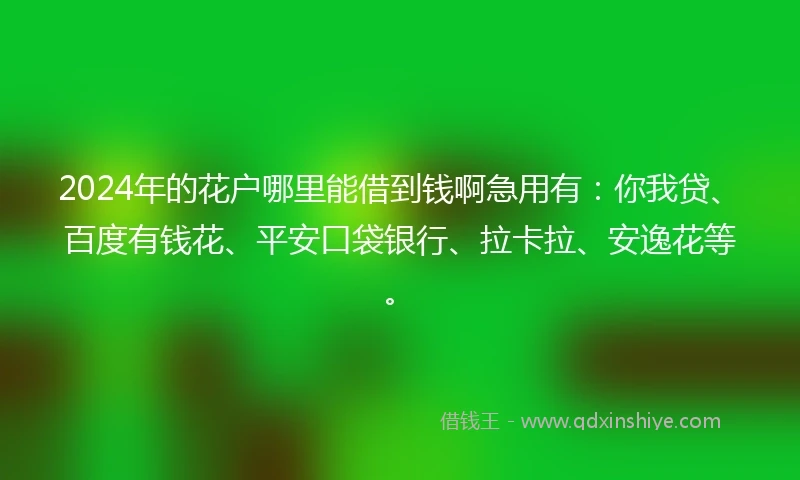 2024年的花户哪里能借到钱啊急用有：你我贷、百度有钱花、平安口袋银行、拉卡拉、安逸花等。