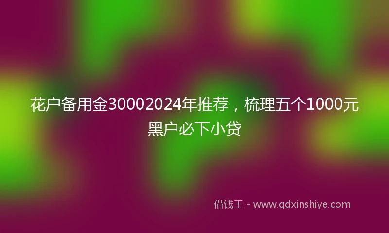 花户备用金30002024年推荐，梳理五个1000元黑户必下小贷