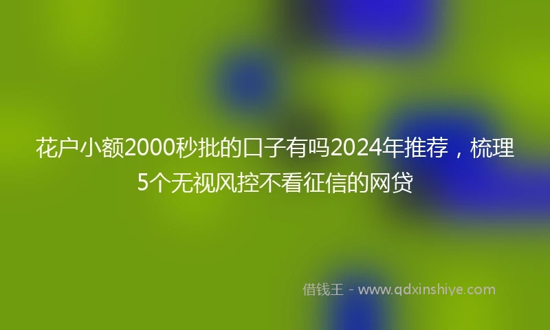 花户小额2000秒批的口子有吗2024年推荐，梳理5个无视风控不看征信的网贷