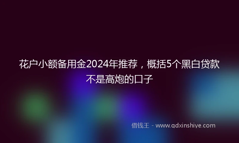 花户小额备用金2024年推荐，概括5个黑白贷款不是高炮的口子
