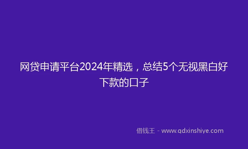网贷申请平台2024年精选，总结5个无视黑白好下款的口子