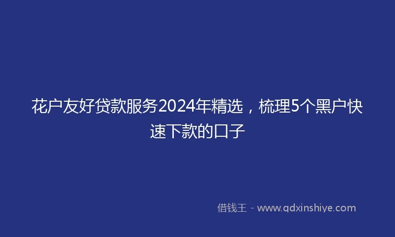 花户友好贷款服务2024年精选，梳理5个黑户快速下款的口子