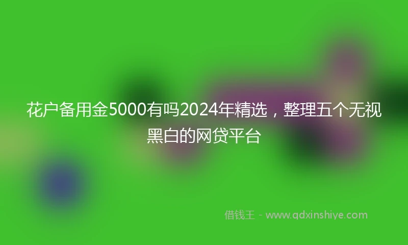 花户备用金5000有吗2024年精选，整理五个无视黑白的网贷平台