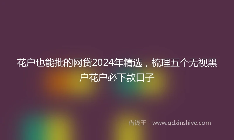 花户也能批的网贷2024年精选，梳理五个无视黑户花户必下款口子