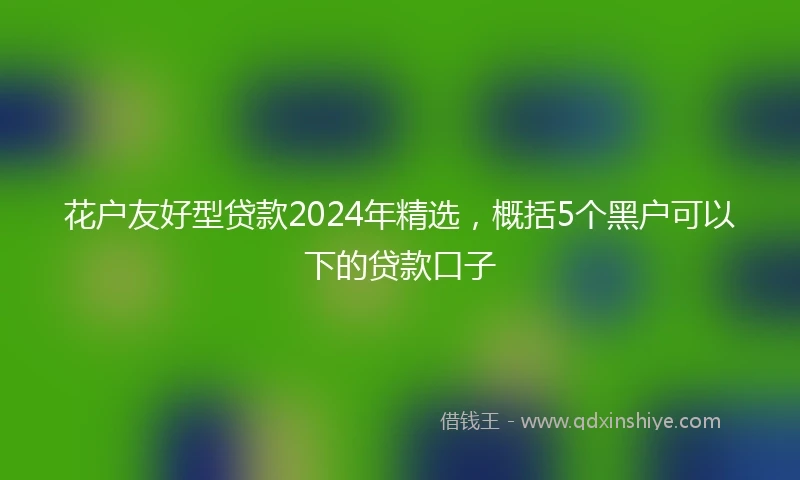 花户友好型贷款2024年精选，概括5个黑户可以下的贷款口子
