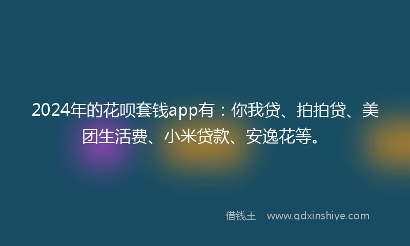 2024年的花呗套钱app有：你我贷、拍拍贷、美团生活费、小米贷款、安逸花等。