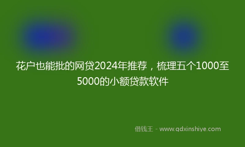 花户也能批的网贷2024年推荐，梳理五个1000至5000的小额贷款软件