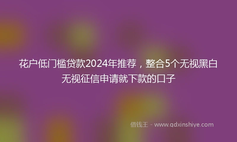花户低门槛贷款2024年推荐，整合5个无视黑白无视征信申请就下款的口子