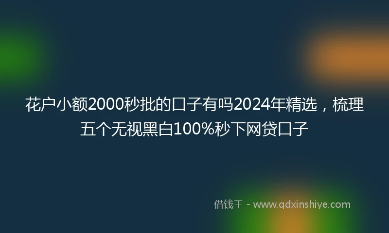 花户小额2000秒批的口子有吗2024年精选，梳理五个无视黑白100%秒下网贷口子