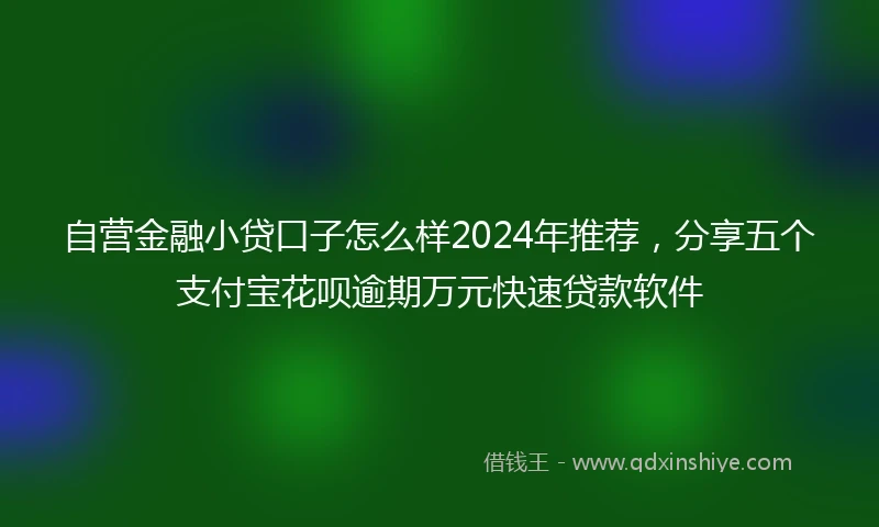 自营金融小贷口子怎么样2024年推荐，分享五个支付宝花呗逾期万元快速贷款软件